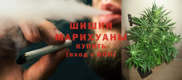 ECSTASY Белокуриха