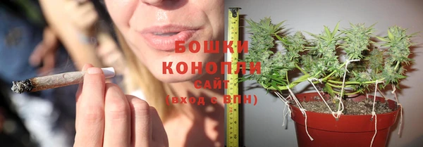 ECSTASY Белокуриха