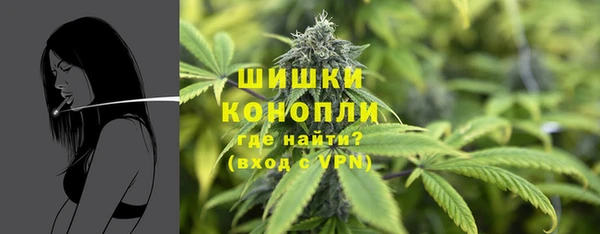 ECSTASY Белокуриха
