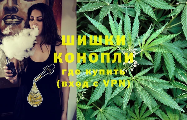 ECSTASY Белокуриха