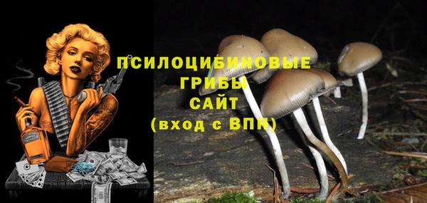 трава Беломорск