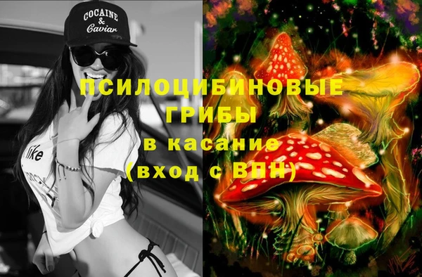 ECSTASY Белокуриха