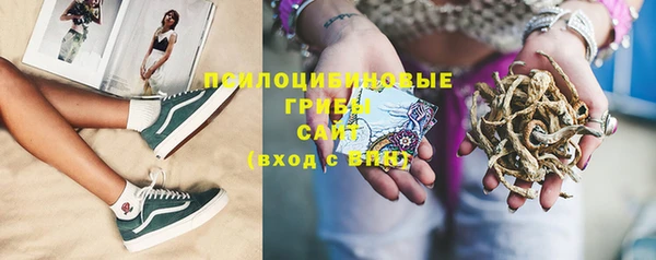 ECSTASY Белокуриха