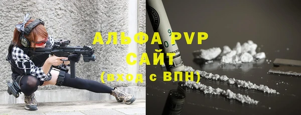 ECSTASY Белокуриха