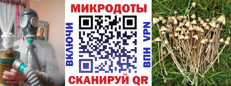 Псилоцибиновые грибы Cubensis  что такое наркотик  Унеча 